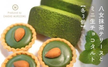 【お中元】抹茶テリーヌ・抹茶生チョコタルトのギフト スイーツ デザート 上品 焼き菓子 お中元 ギフト 贈り物 ご挨拶 097-005-N