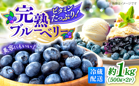 【2026年6月より順次発送】 ブルーベリー 1kg＜広津農園＞[CBN008]  新鮮 産地直送 フルーツ 健康 冷蔵 栽培期間中 農薬不使用 ブルーベリー 果物 果実 