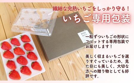 西粟倉村 完熟いちご 贈答用  800g(400g×2)  M-FI-A07A