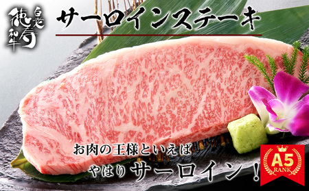 サーロインステーキ＆粗挽き生ハンバーグセット 白老牛 北海道 徳寿 BJ081