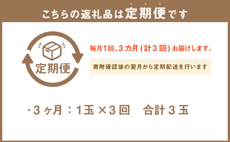 【3ヶ月定期便】静岡県産 高級 アローマメロン 小玉1玉 約0.9kg以上×小玉1玉×3回 計約2.7kg以上 化粧箱入 果物 フルーツ メロン めろん 青肉 高級ブランドメロン ブランドメロン 高級