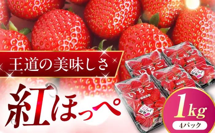 【先行予約】いちご「紅ほっぺ」 4パック BKAY002
