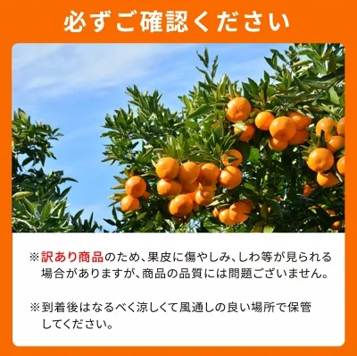 G7358_【2026年先行予約】紀州有田産 不知火 (しらぬい)【家庭