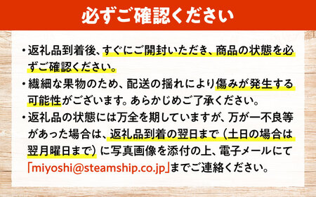 【先行予約】【9月上旬から9月末に順次発送】【訳あり】ピオーネ 約1kg（約500g×2パック）露地栽培 ぶどう 果物 ピオーネ フルーツ 葡萄 ブドウ 三次市/西田ぶどう園[APCM006]