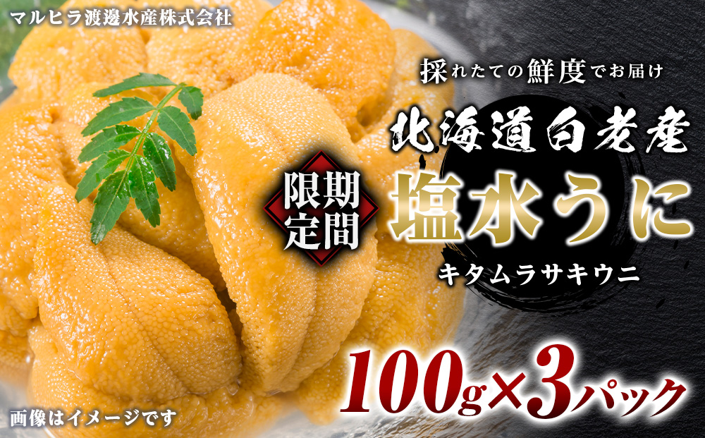 2025年 発送予約 ウニ本来の味が楽しめる【白老産】塩水ムラサキウニ 100g×3パック BT009
