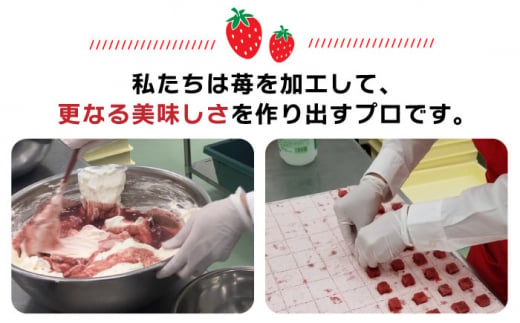 あまおう苺入りどら焼き「どらきんぐエース抹茶」4個入り≪糸島市≫【株式会社エモテント】 どら焼き/あまおう/あまおう苺/イチゴ/伊都きんぐ [AVH004]