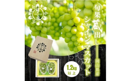 【旬果蔵出し】岡山県産 シャインマスカット 1.2kg以上（2～3房）＜2025年12月上旬～2026年1月下旬発送＞
