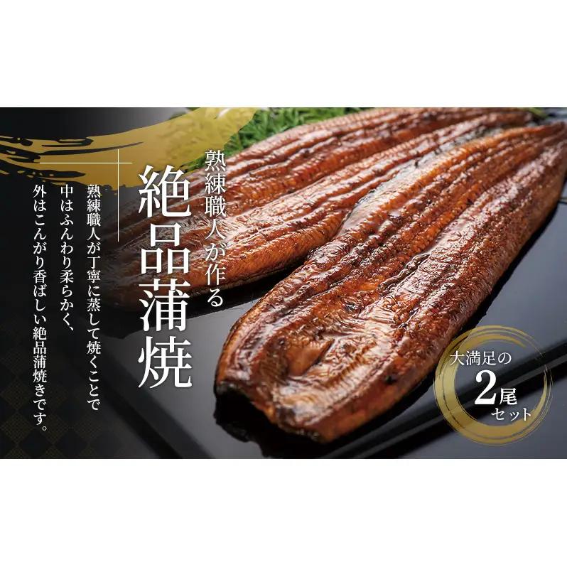 父の日ギフト 浜名湖産うなぎ 蒲焼 2尾 (100g以上×2本)山椒たれ付き 国産 うなぎセット 国産うなぎ 浜名湖うなぎ 海老仙 静岡 浜松市