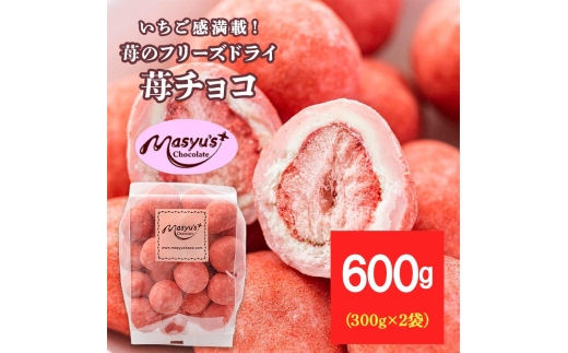 苺のフリーズドライ苺チョコ600g 300gx2袋 4月～10月発送 チョコレート チョコ スイーツ お菓子 おかし いちご イチゴチョコ イチゴ パウダー ギフト プレゼント 兵庫県 伊丹市[№5275-1096]