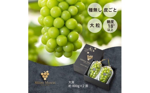 
            シャイン マスカット 2025年 先行予約 「MiiinoMuscat」2房（(約1.6kg）ブドウ 葡萄  岡山 国産 フルーツ 果物 ギフト
          