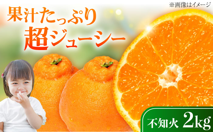 
            不知火 2kg しらぬい 小玉 デコポン 江田島市産 広島 果物 フルーツ ふるーつ みかん 蜜柑 柑橘 ミカン ギフト 贈り物 ビタミン 美容 健康 オレンジ 果肉 果物 お取り寄せ ギフト 果物 蜜柑 柑橘 ミカン ギフト 贈り物 お取り寄せ ギフト リピート ギフト プレゼント 贈答 人気 高品質 好評 広島県産 ハルテラス農園/江田島市 [XCX002]
          