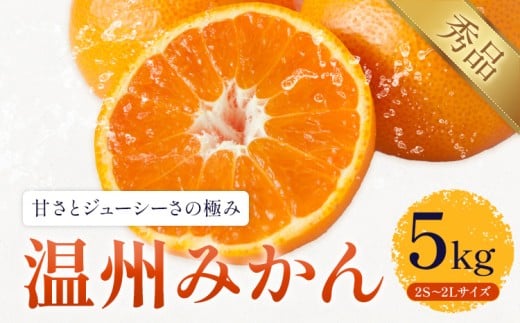 温州みかん 約5kg 日本フルーツ株式会社 熊本県 長洲町 《11月上旬～12月上頃に出荷予定（土日祝除く）》 デコポン 果物 秀品 フルーツ スイーツ デザート ギフト ご贈答