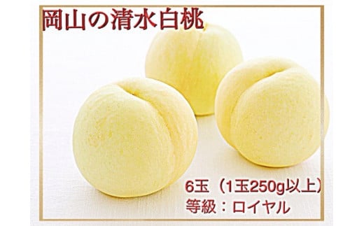 Hz-1　【令和7年発送・先行予約】岡山県産　清水白桃（1玉250ｇ以上）6玉　等級：ロイヤル　化粧箱入り