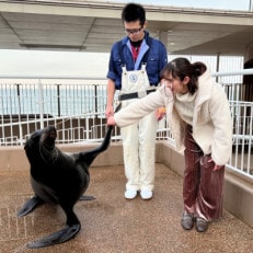 アクアワールド茨城県大洗水族館　飼育員体験ツアー