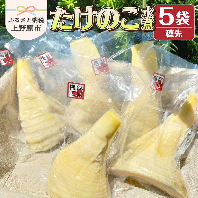 【ふるさと納税】 たけのこ水煮 穂先 5袋 たけのこ 竹の子 筍 薪炊 真空パック あく抜き 柔らか 贈答 贈り物 ギフト プレゼント 送料無料 ※沖縄県、離島不可 山梨県 上野原市