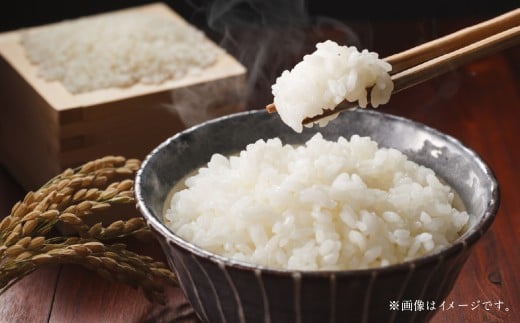 【令和6年産】寒地稲作発祥の地 北広島市産 赤毛米5kg 白米 精米 お米 こめ おこめ コメ 単一原料米 北海道米 北海道産 米 ご飯 ごはん 北海道 北広島市