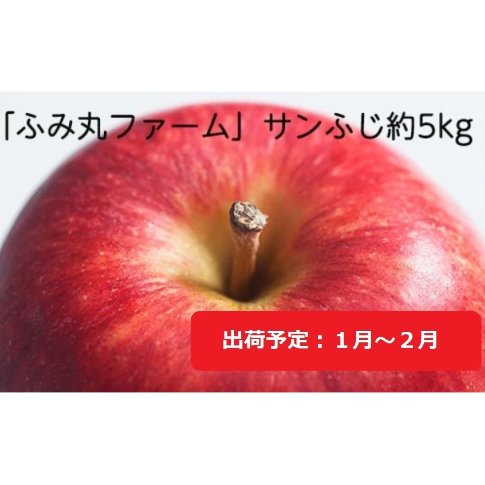 1月～2月発送 ふみ丸ファーム 最高等級「特選」 サンふじ 約5kg 【 弘前市産 青森りんご 】