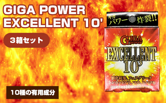 
            No.326 GIGA POWER EXCELLENT 10’ 3箱セット ／ サプリメント サプリ 大阪府
          