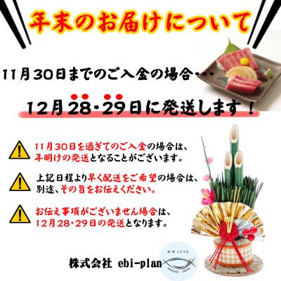 ふるさと納税 室戸市 厳選 天然本まぐろ中トロ1柵 たっぷり 堪能 【年末発送】 |  | 03