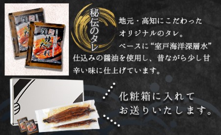 【大人気！】高知県産養殖うなぎ蒲焼き 100～120g 2尾セット fb-0018