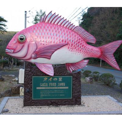 ふるさと納税 南伊勢町 タイ ブリ 海鮮 しゃぶしゃぶ 100g 各2袋 計400g 刺身カット済 伊勢志摩産 産地直送 |  | 03