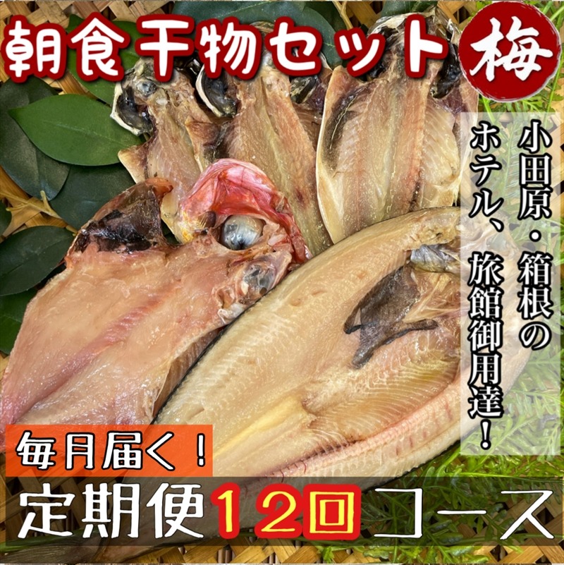 104-2762 【毎月定期便12回】小田原、箱根の旅館、ホテル御用達！朝食干物セット 梅【 まぐろや 神奈川県小田原市 】