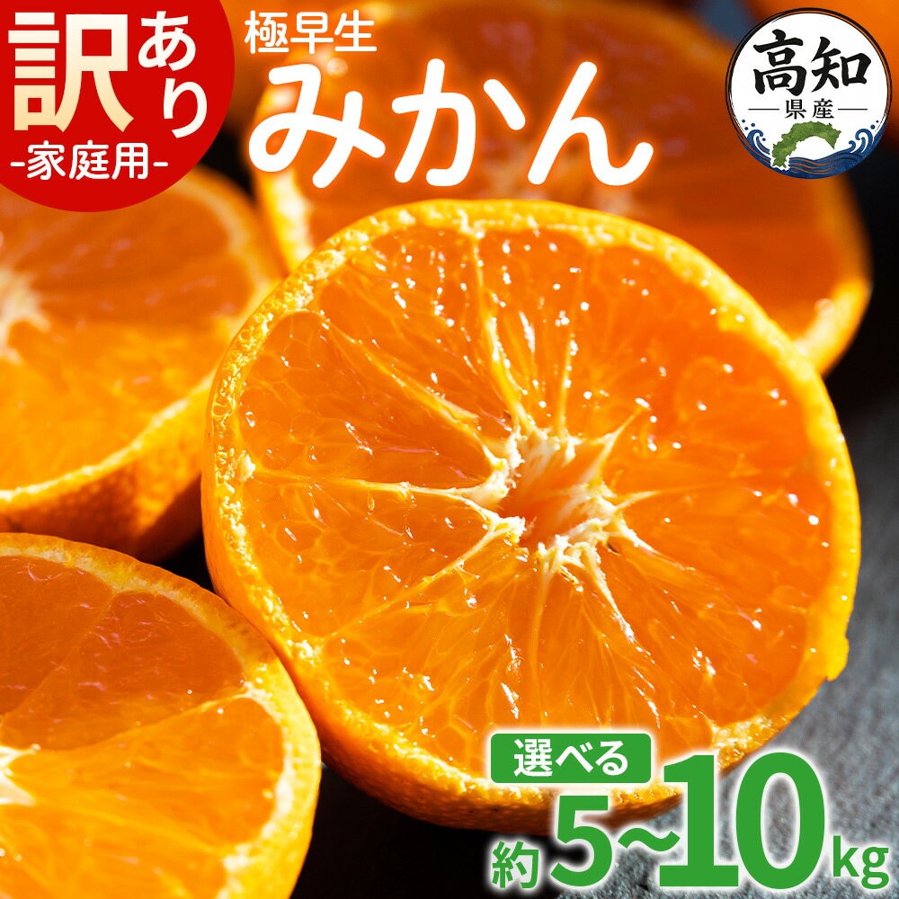 【ふるさと納税】【2026年10月より順次配送】【選べる数量】家庭用 訳あり 極早生みかん 約5kg/10kg - 先行予約 数量限定 大容量 送料無料 温州みかん 訳アリ フルーツ 果物 果実 甘い 酸味 蜜柑 ミカン 柑橘 箱買い ギフト 国産 特産品 高知県 香南市【常温】