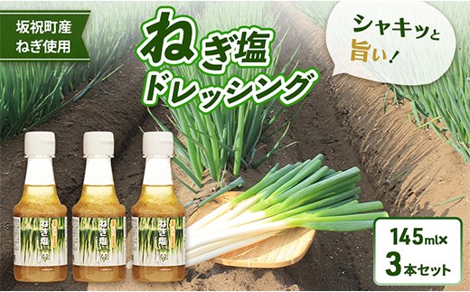 ねぎ塩ドレッシング（3本） ネギ 葱 サラダ タレ たれ 付けダレ 付けだれ ほぎもん 自宅用 手土産 贈り物 岐阜県 坂祝町 さかほぎ F6M-402