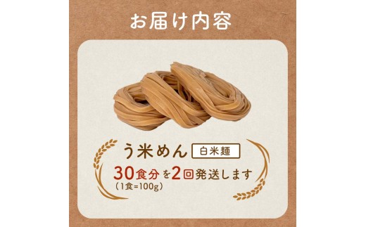 【2か月定期便】グルテンフリー 米粉で作った麺「う米めん」玄米タイプ30食入り×2回 F21T-459