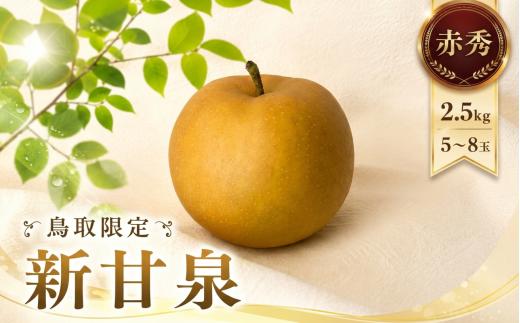 【2027年発送分先行受付】新甘泉(赤秀) 2.5kg