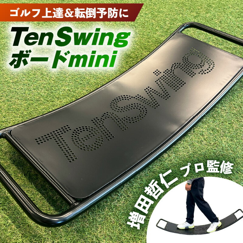 【ふるさと納税】ゴルフ上達＆転倒予防に「TenSwingボードミニ」：【増田哲仁プロ監修】 | ゴルフグッズ スポーツ 人気 おすすめ 送料無料