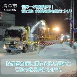 【返礼品なし】世界一の豪雪都市!雪に強い持続可能な都市づくり　10,000円