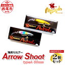 【ふるさと納税】ルアー2個【ARROW SHOOT Type A60】A152-14 ルアー セット 疑似餌 フィッシング 釣り 海釣り saltwater fishing ジャークベイト系 プロ アマ タングステン 釣り道具 MB