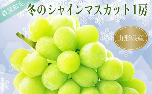 
            【2026年発送】冬の山形県産低温貯蔵シャインマスカット1房（約700～800g）_H067(R8)
          