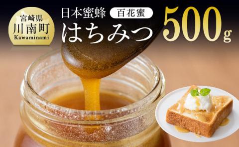 【数量限定】国産はちみつ（百花蜜）500g【蜂蜜 国産 九州産 宮崎県産 川南町産】