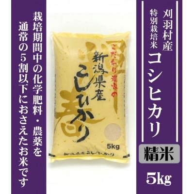 ふるさと納税 刈羽村 【新潟特別栽培米】【精米】刈羽村産コシヒカリ 5kg