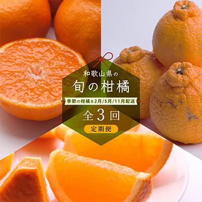 ふるさと納税 広川町 【発送月固定定期便】季節の柑橘定期便A【フルーツ定期便】【和歌山県有田】全3回