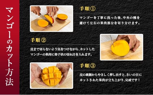 ≪先行予約≫ 宮崎県産 完熟マンゴー「太陽のタマゴ」約3kg 計6～9玉 2026年発送 ブランド 南国 トロピカル フルーツ 果物 くだもの 化粧箱入り 約3kg（2～3玉×3箱）