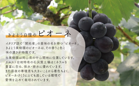 桃、ピオーネ、シャインマスカットが少しずつ届く夏の満足便！３回便(定期便) (岡山県産)【KF-T022-02】