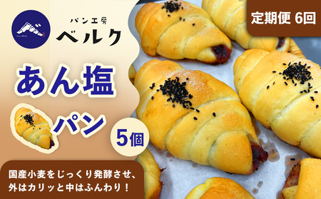 【6回定期便】あん塩パン 5個セット / あんぱん 塩ぱん 塩パン あん塩 アンパン あんパン パン セット 冷凍パン 朝食 おやつ ぱん 菓子パン ベーカリー / 稲沢市 / パン工房ベルク[BMAF029]