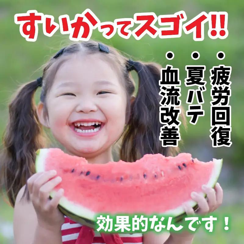 【先行予約】甘さきらめく「夏の天使」スイカ1玉 【2026年7月中旬以降順次発送予定】スイカ 西瓜 すいか 大玉 デザート 果物 お取り寄せ 産地直送 [A-1005]