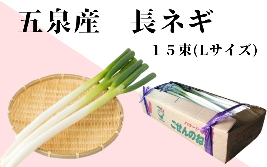 ごせんのネギ Lサイズ 15束 野菜 ネギ 長ネギ 葱 新潟県 五泉市 五泉市園芸組織連絡協議会