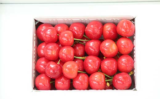 さくらんぼ紅秀峰 約500g L～2L 秀 化粧箱 果物 くだもの フルーツ 夏果物 サクランボ F4A-0951