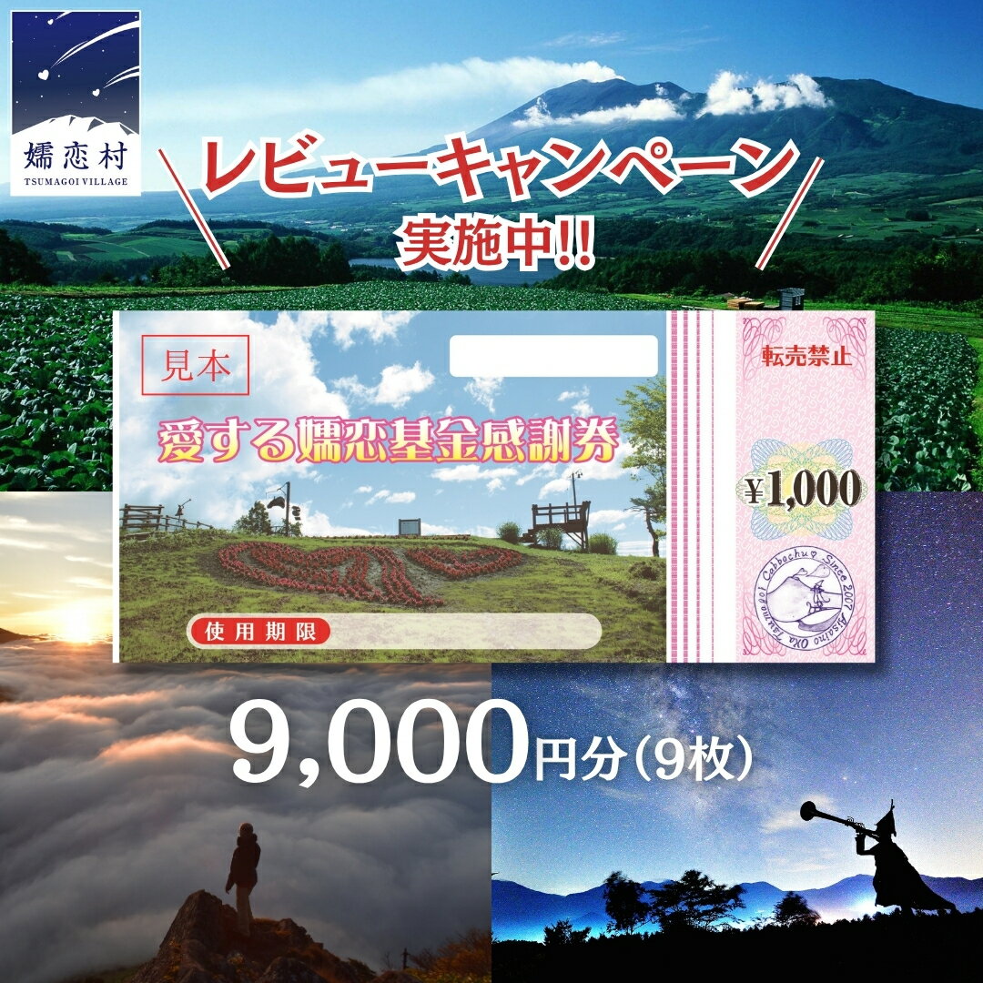 【ふるさと納税】≪ レビューキャンペーン ≫ 嬬恋村 で使える 感謝券 9000円 分 観光 旅行券 宿泊券 旅行 温泉 スキー ホテル 旅館 クーポン チケット 宿泊補助券 トラベル 寄附額30000円 関東 群馬 北軽井沢エリア 万座温泉 鹿沢温泉 浅間高原 バラギ