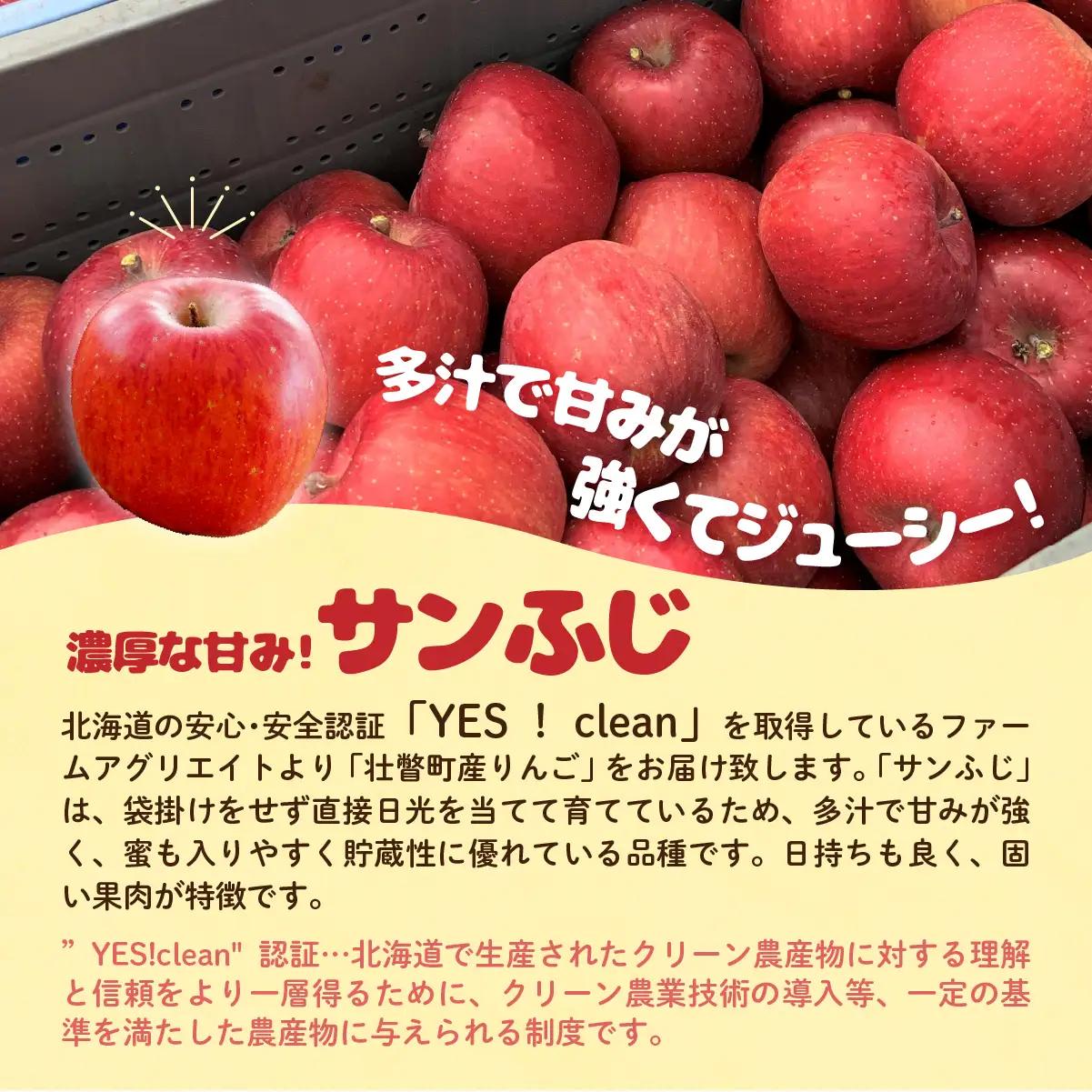 【ふるなびWEEK対象】【先行予約】 サンふじ 約5kg 2026年11月中旬頃～発送予定 SBTB015