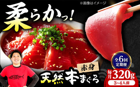 【全6回定期便】たね熟天然本まぐろ赤身(320g)[AOCE014]まぐろ まぐろ まぐろ まぐろ まぐろ まぐろ