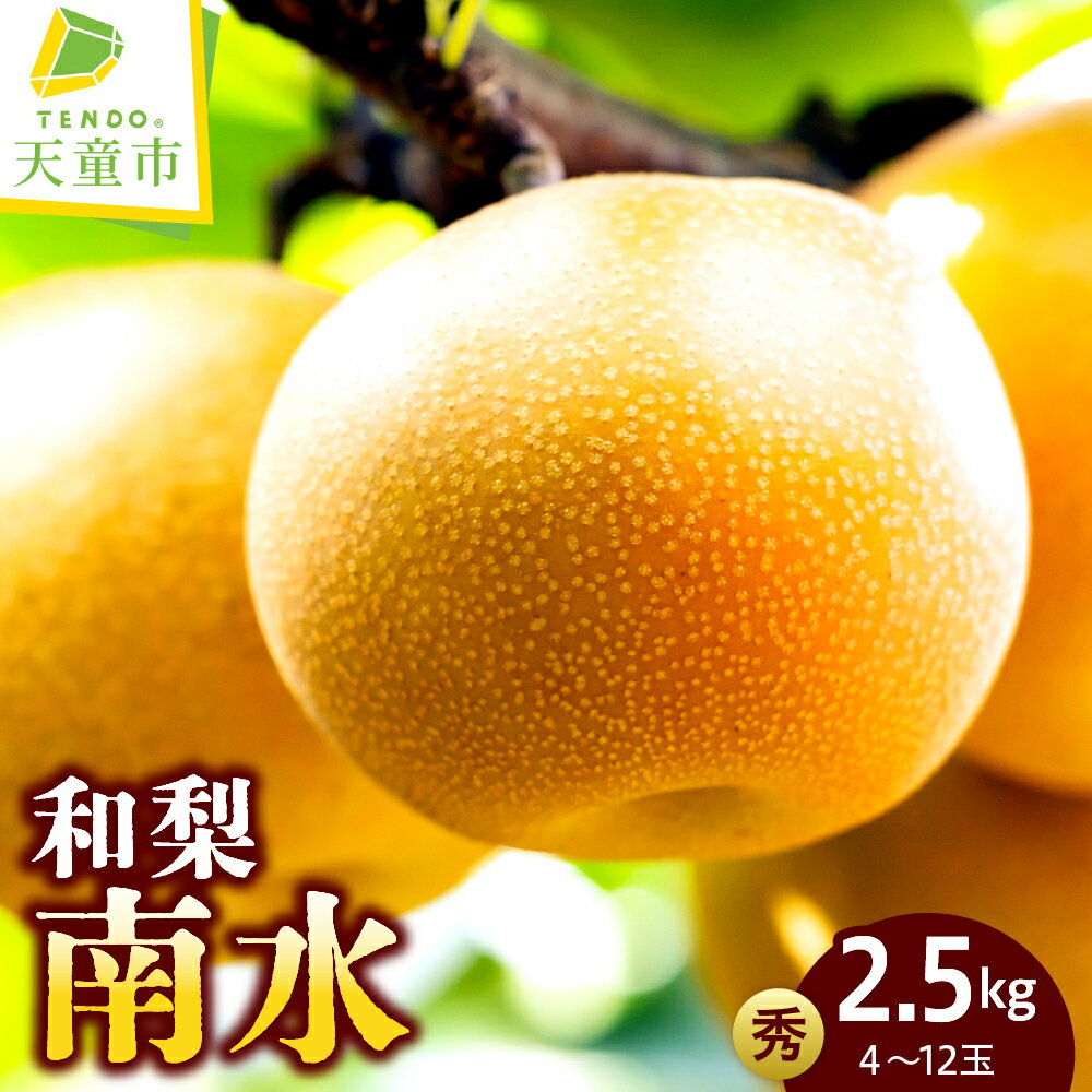 【ふるさと納税】和梨 ( 南水 ) 約2.5kg 令和8年産 先行予約 2026年 なし ナシ 梨 果物 くだもの フルーツ 山形 お取り寄せ 産地直送 送料無料【 山形県 天童市 】