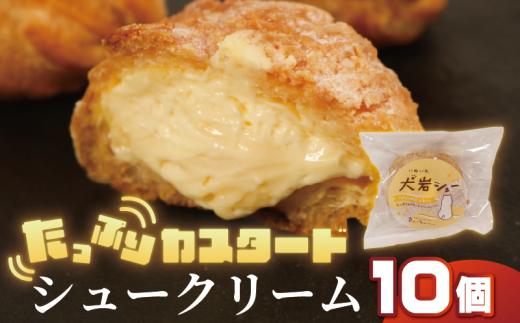 シュークリーム 10個 冷凍 スイーツ デザート 洋菓子 お菓子 菓子 小分け 個包装 おやつ お取り寄せ グルメ 人気 サクサク ふわトロ グルメ シュー 冷凍シュー 冷凍シュークリーム 冷凍保存 カスタード サクサク生地 カスタードクリーム  クリーム 犬岩シュー ケーキ 焼菓子 プレゼント ギフト 贈答 犬岩 義経 銚子名物 セレクション 送料無料 ふるさと納税 千葉県 銚子市 ル・ノワ
