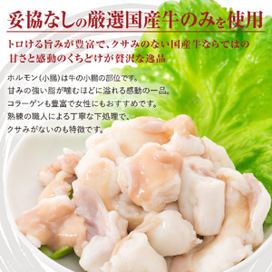 国産 牛 極上 上級者専用 ホルモン ( マルチョウ ) 700g 附属タレ付き