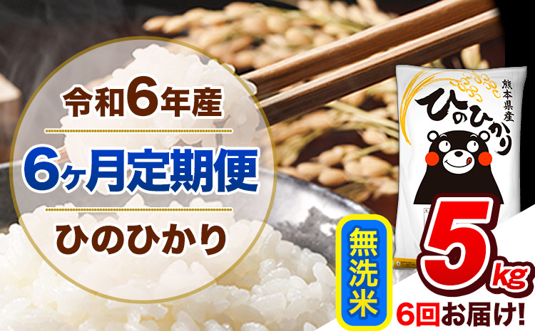 【6ヶ月定期便】令和6年産 定期便 無洗米 ひのひかり 5kg 《申込み翌月から発送》令和6年産 熊本県産 ふるさと納税 精米 ひの 米 こめ ふるさとのうぜい ヒノヒカリ コメ 熊本米 ひのもり